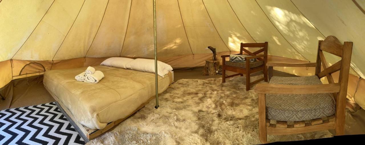 Glamping Miraflores Hotell Vicuña Exteriör bild